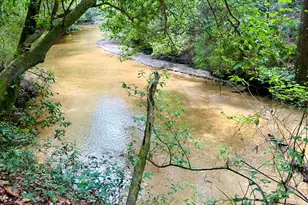 50 Acres N US Hwy 331 N, Defuniak Springs, FL 32433 - Photo 1