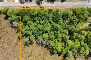 Tbd W Co Hwy 83A W, Freeport, FL 32439 - Photo 1