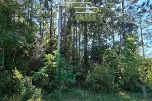 8131 Tavira St, Navarre, FL 32566 - Photo 1