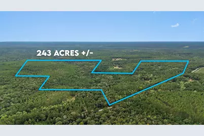 3350 New Ebenezer Road, Laurel Hill, FL 32567 - Photo 1