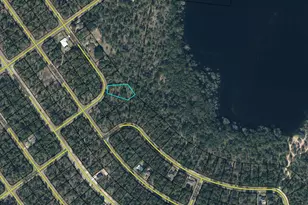 Lot 9 Zinnia Dr, Chipley, FL 32428 - Photo 1