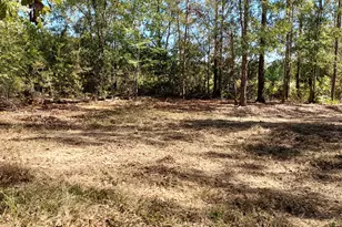 1480 Clayton Ln, Westville, FL 32464 - Photo 1