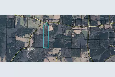 49.52 Ac Fl-2, Westville, FL 32464 - Photo 1