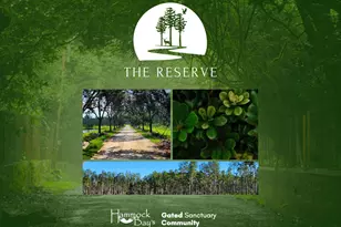 Lot 39 Reserve At Hammock Bay, Freeport, FL 32439 - Photo 1