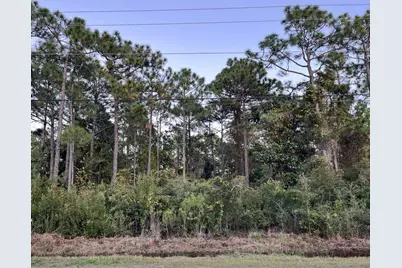 0 N Co Highway 393 N #(Lots 8,9,10,11,12,15,16 & 17), Santa Rosa Beach, FL 32459 - Photo 1