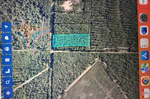 Z Lot Z, Milton, FL 32570 - Photo 1
