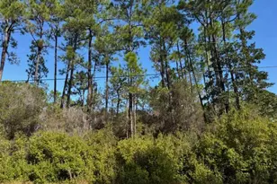 6752 Redfield St, Navarre, FL 32566 - Photo 1