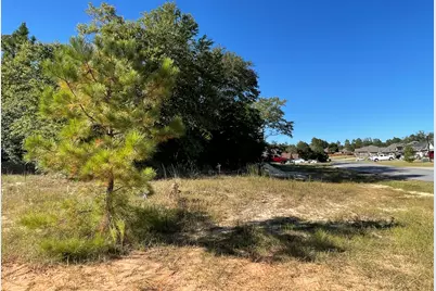 13.24 Ac Willow Creek, Crestview, FL 32539 - Photo 1