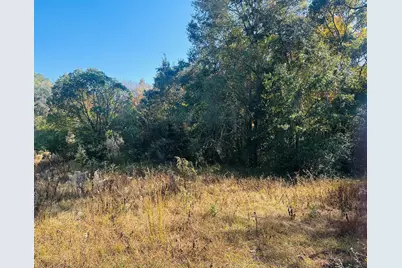 Tbd Douglass Avenue, Defuniak Springs, FL 32435 - Photo 1