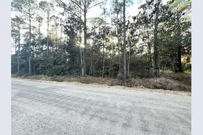 Lots 1,2,3 N 13th Street N, Santa Rosa Beach, FL 32459 - Photo 1