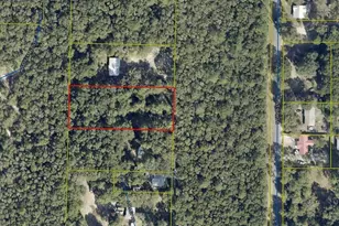 81 Lolley Ln, Defuniak Springs, FL 32433 - Photo 1