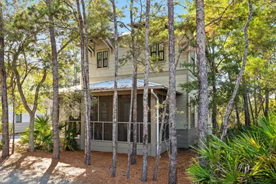 587 Patina Boulevard, Inlet Beach, FL 32461 - Photo 1