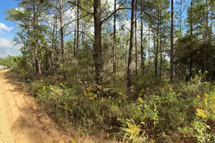 Lot 29 Cleawater Dr, Defuniak Springs, FL 32433 - Photo 1