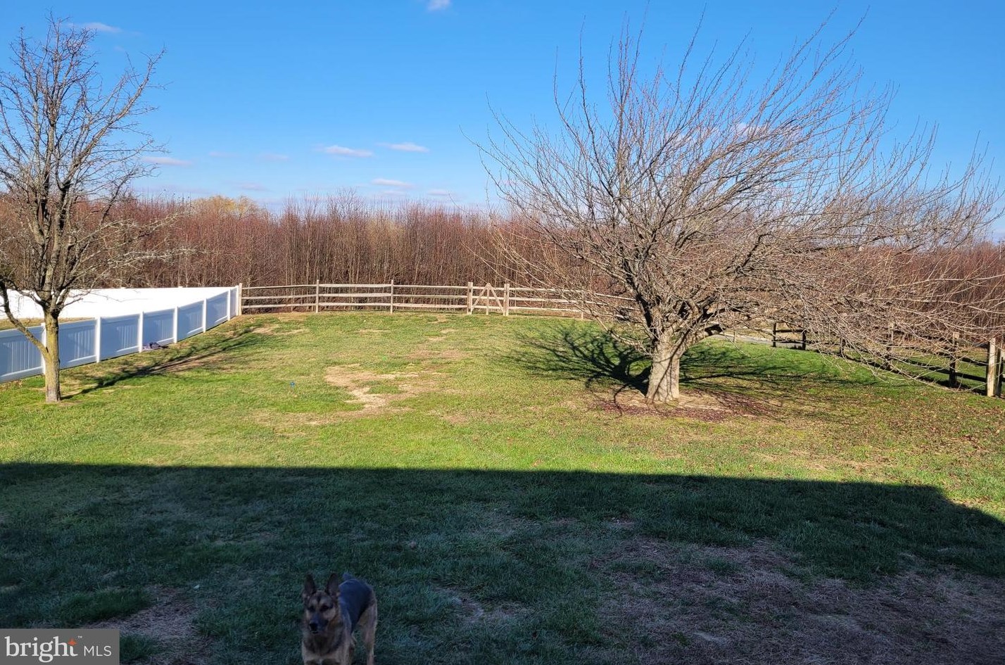 799 W Birdie Ln, Magnolia, DE 19962