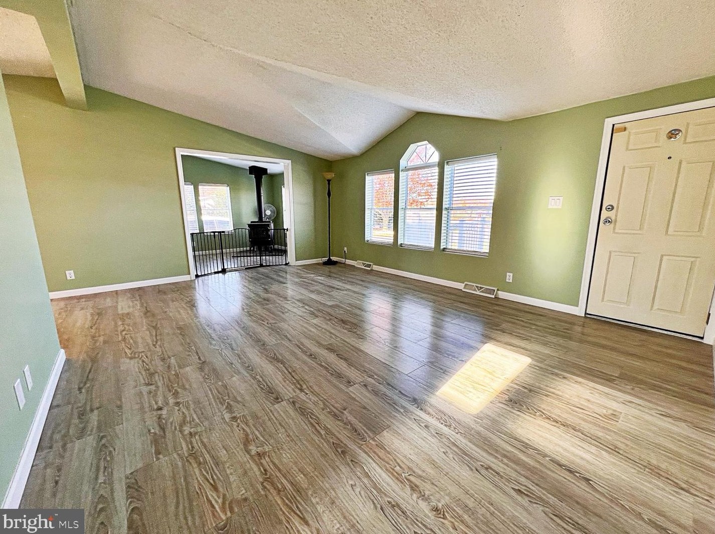 75 Yoemans Tale Ln, Felton DE  19943-4620 exterior