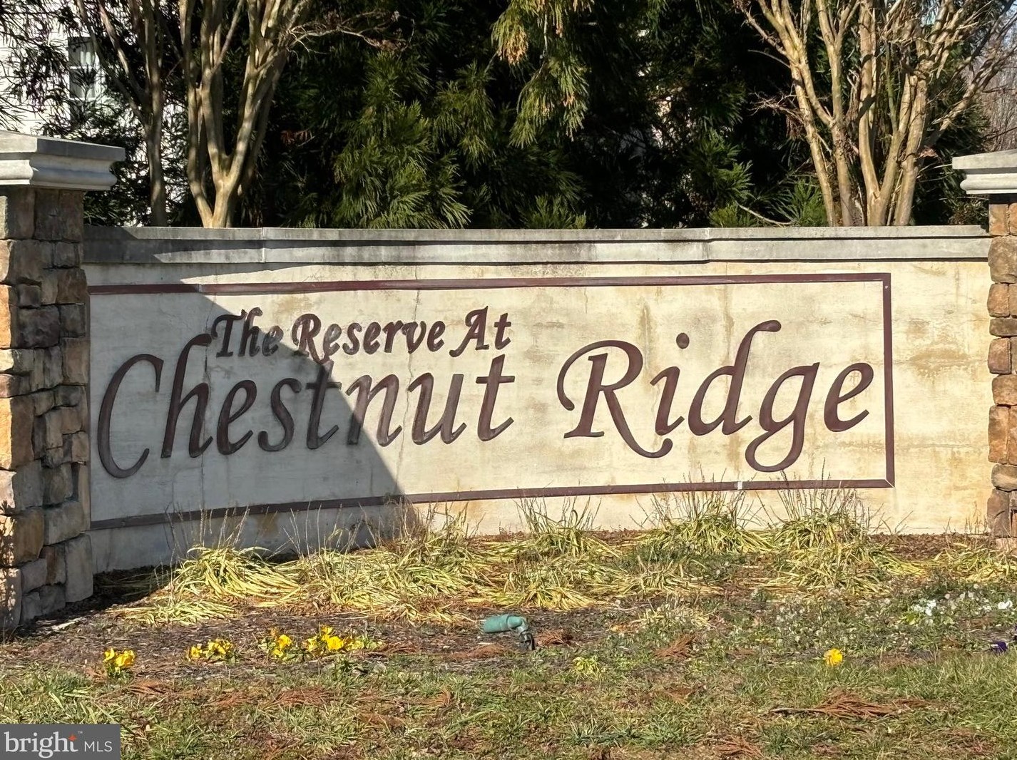 35 Cinnamon Way, Magnolia, DE 19962