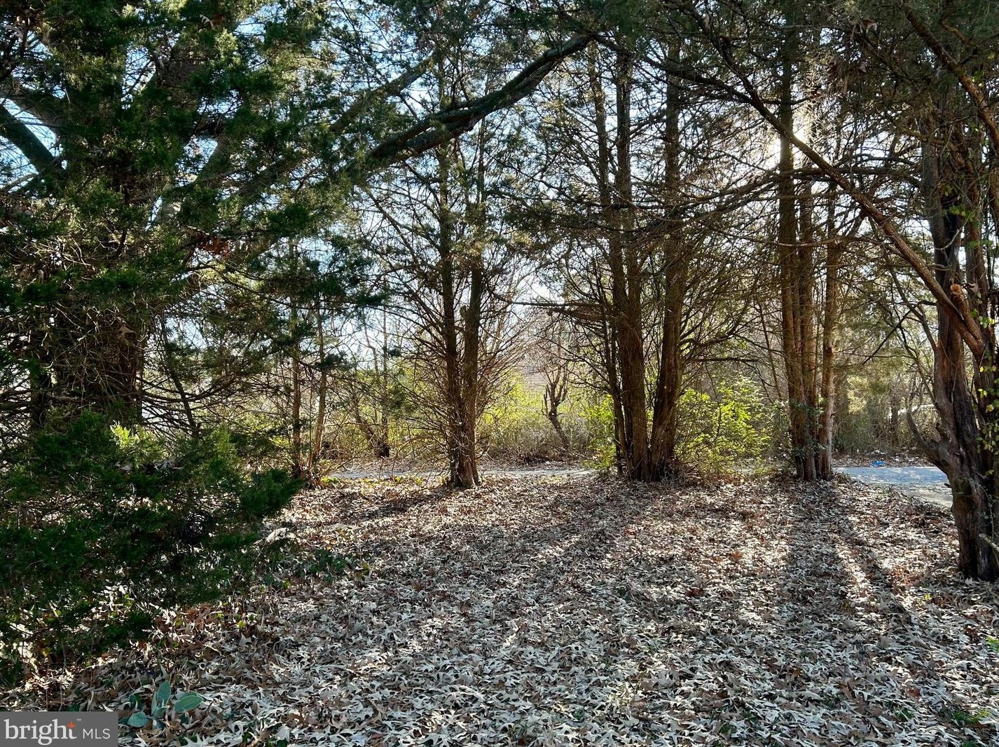 86 Headstart Ln, Dover, DE 19901-7639
