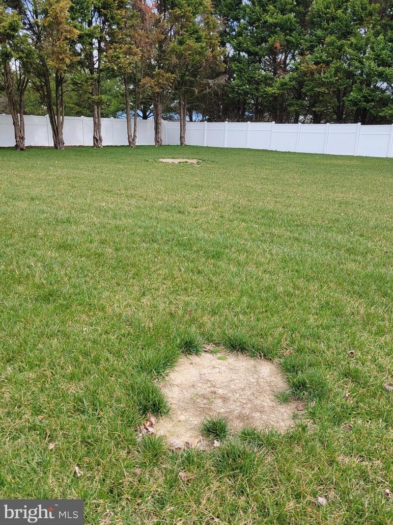 1642 Jackson Ditch Rd, Harrington DE  19952-2472 exterior