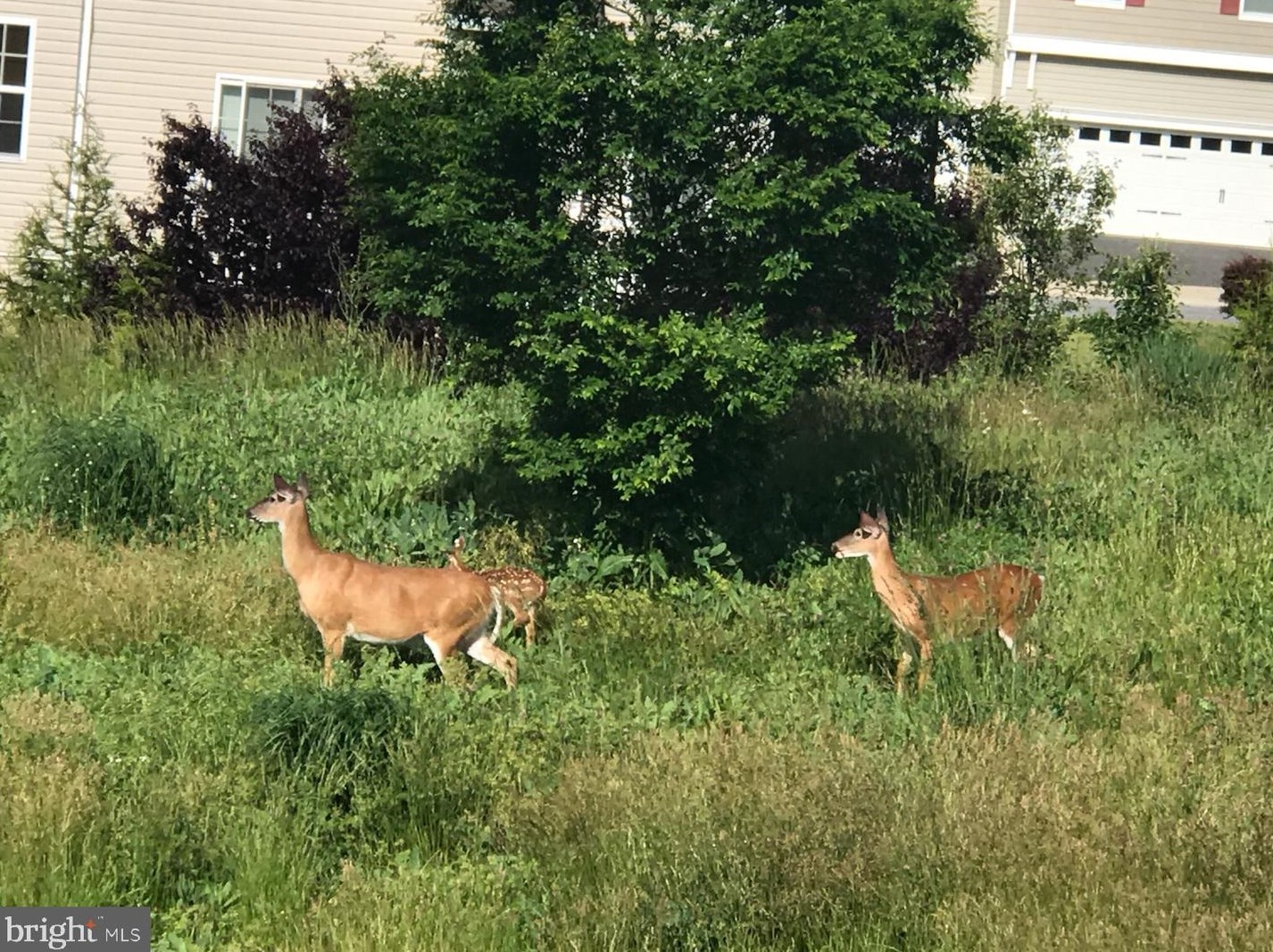 121 Margaretta Dr, Middletown DE  19709-9822 exterior