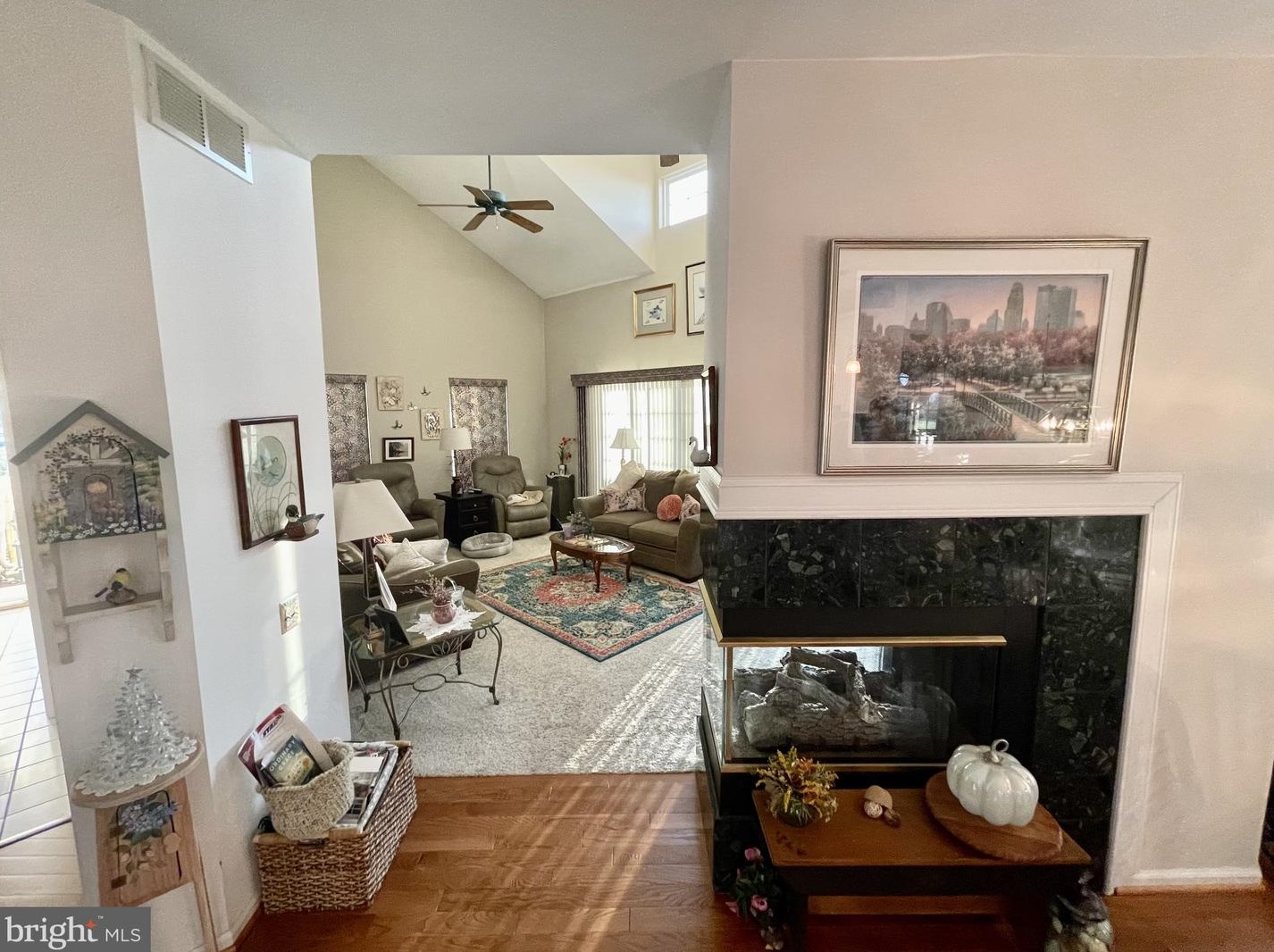 101 Lahinch Ct, Middletown DE  19709-8849 exterior
