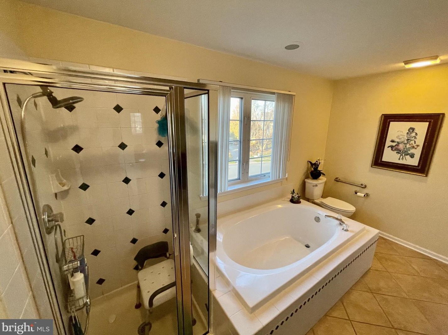 101 Lahinch Ct, Middletown DE  19709-8849 exterior
