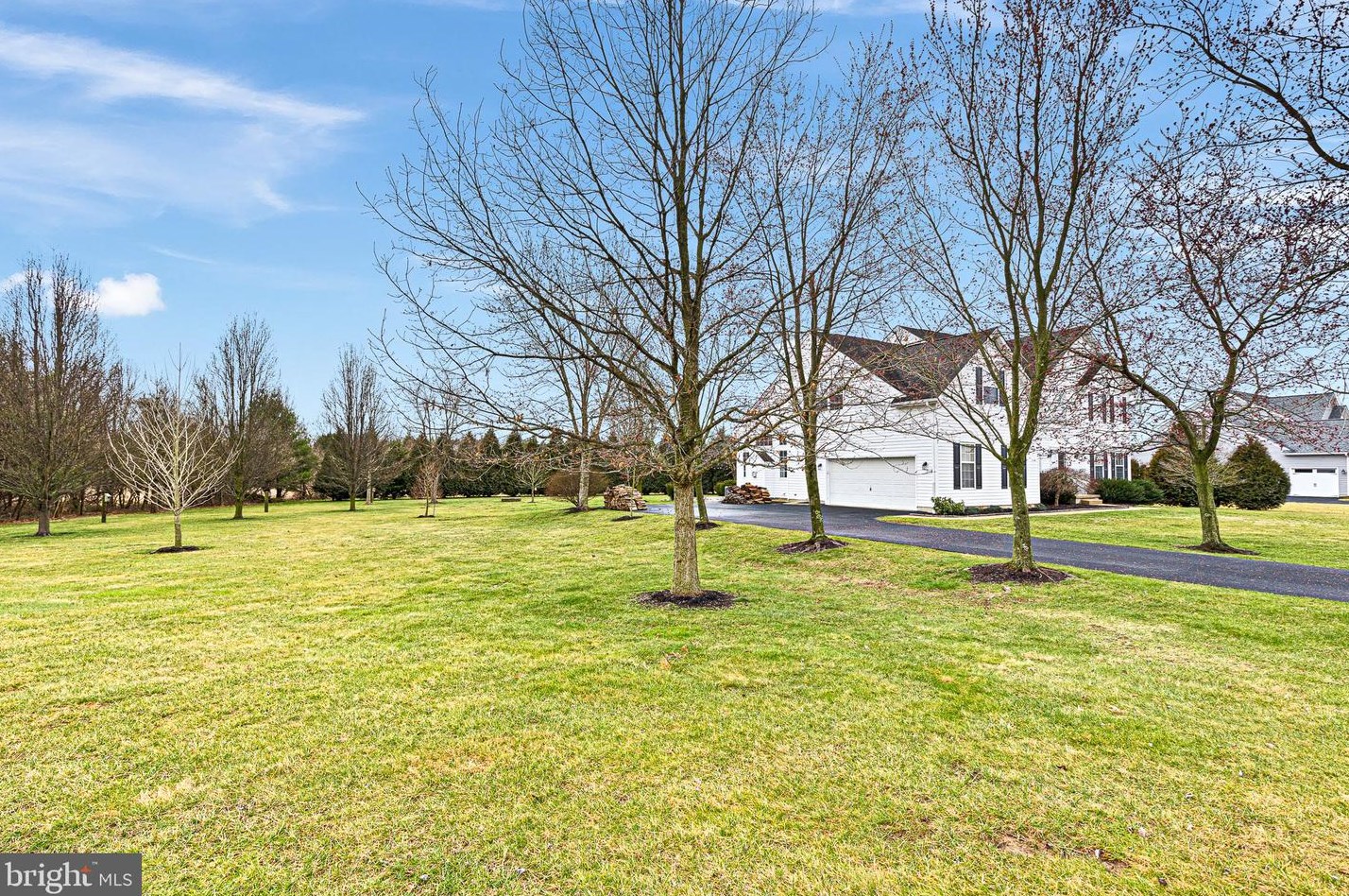 209 Wayne Way, Middletown, DE 19709-3812