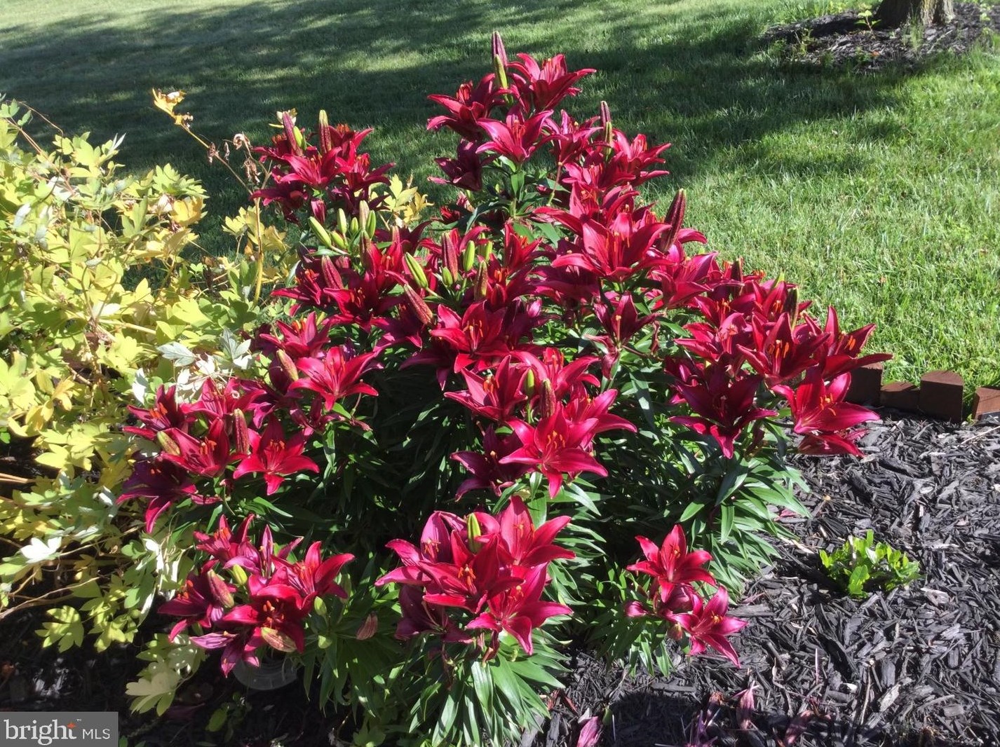 20 Staten Dr, Hockessin DE  19707-1338 exterior