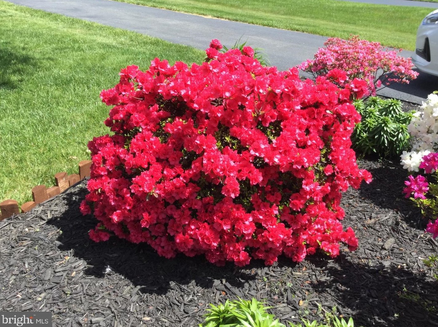 20 Staten Dr, Hockessin DE  19707-1338 exterior