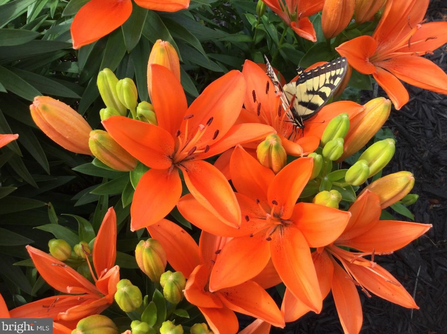 20 Staten Dr, Hockessin DE  19707-1338 exterior