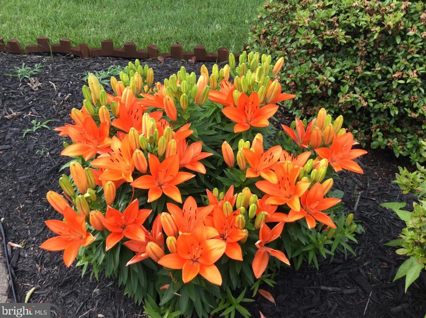 20 Staten Dr, Hockessin DE  19707-1338 exterior