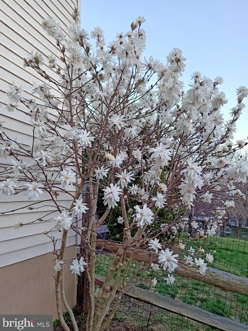 20 Staten Dr, Hockessin DE  19707-1338 exterior