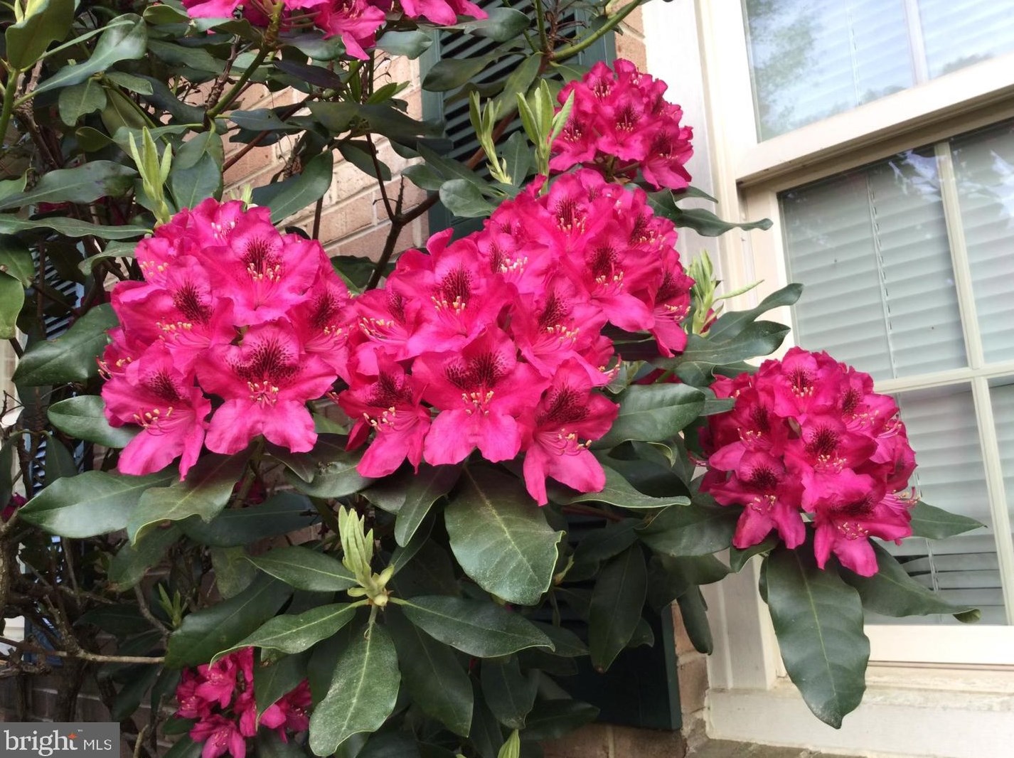 20 Staten Dr, Hockessin DE  19707-1338 exterior