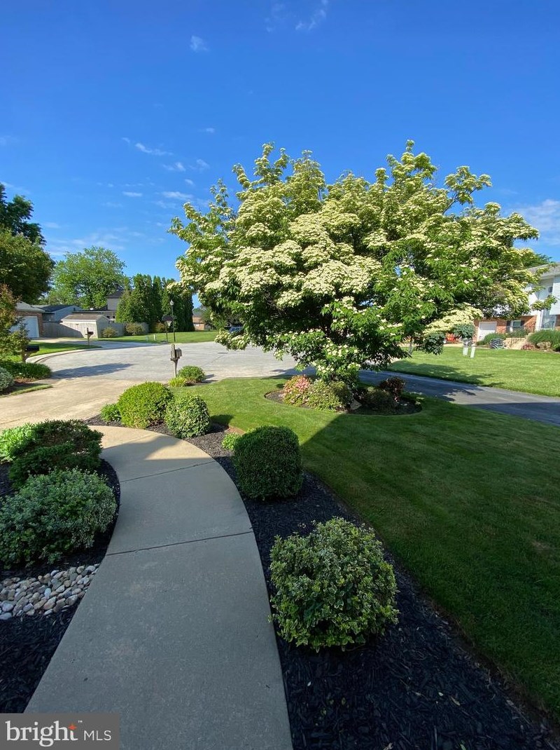 8 Pierson Ct, Bear, DE 19701