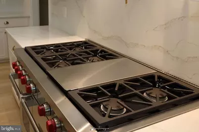 310 Bohemia Mill Pond Drive, Middletown, DE 19709 - Photo 16