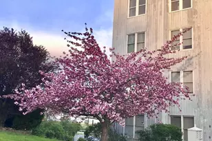 5219 Le Parc Dr, Wilmington, DE 19809 - Photo 2