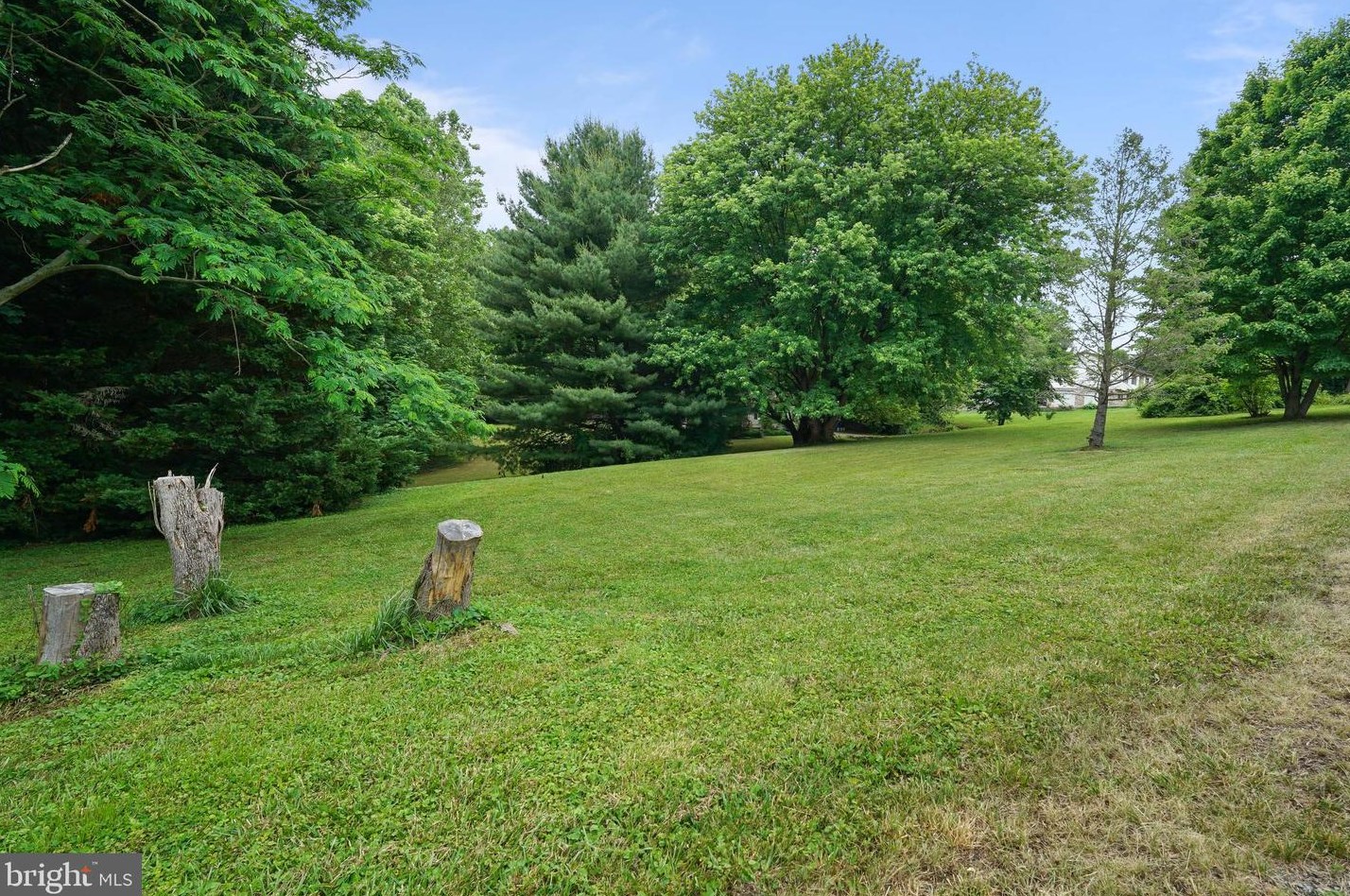 131 Skyline Dr, Conowingo, MD 21918