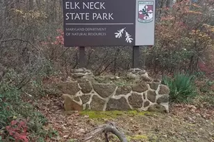 3929 Turkey Point Rd, North East, MD 21901 - Photo 2