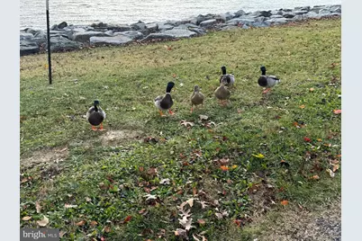 886 Turkey Point Road, North East, MD 21901 - Photo 12