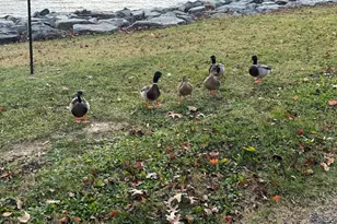 886 Turkey Point Rd, North East, MD 21901 - Photo 12