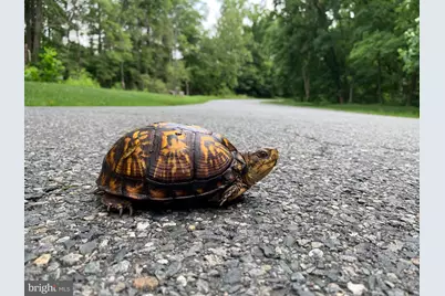 118 North East Isles Drive, North East, MD 21901 - Photo 46