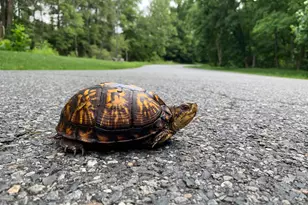 118 North East Isles Dr, North East, MD 21901 - Photo 46