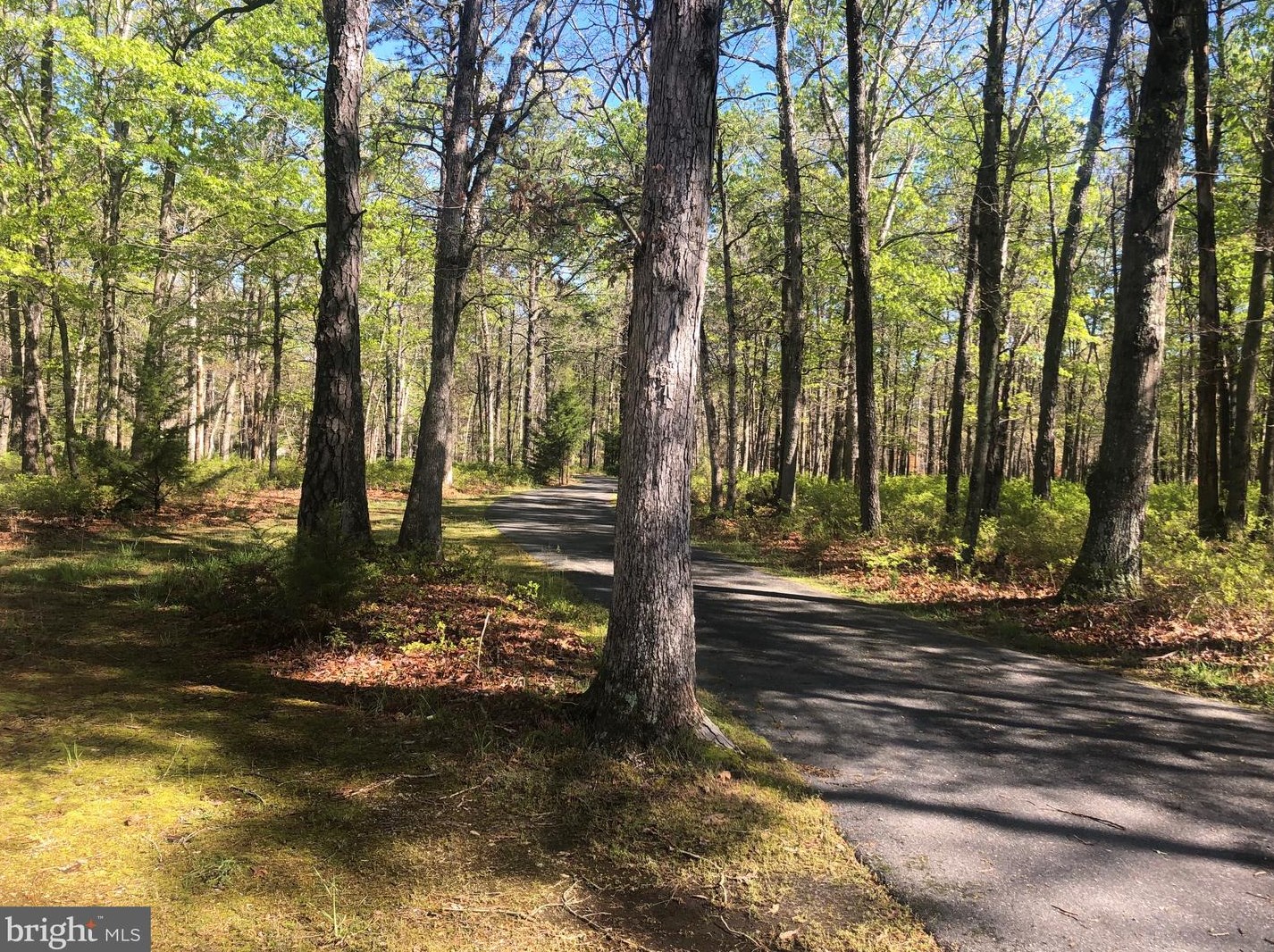 458 Weymouth Rd, Buena Vista Township, NJ 08310