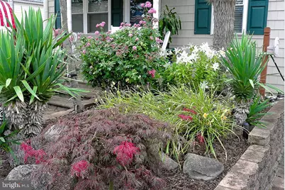 32 N Manor Avenue, Longport, NJ 08403 - Photo 8