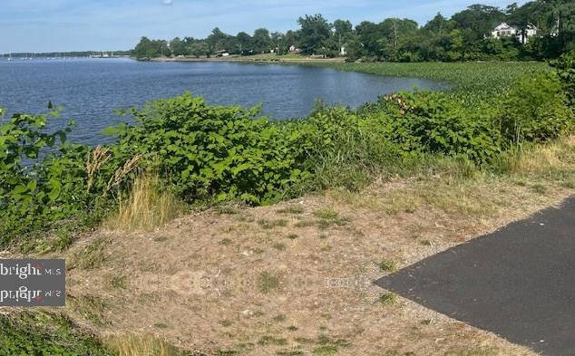 1010 Harbour Dr, Palmyra NJ  08065-1202 exterior