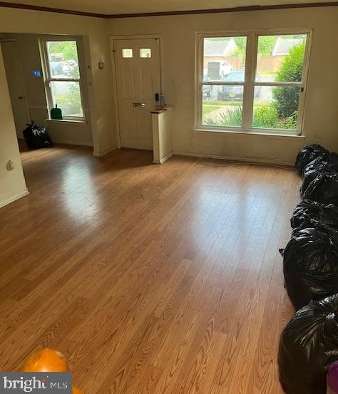 1010 Harbour Dr, Palmyra NJ  08065-1202 exterior