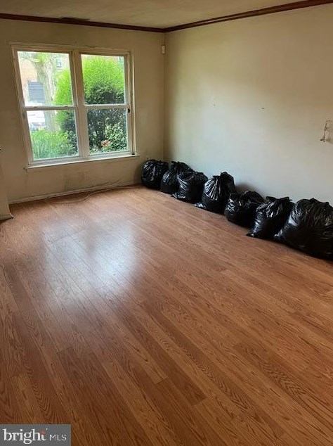 1010 Harbour Dr, Palmyra NJ  08065-1202 exterior