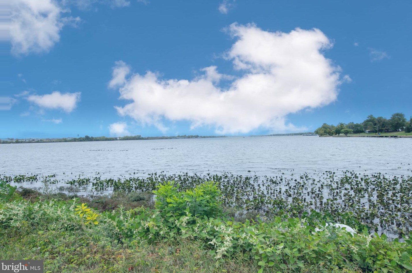 1062 Harbour Dr, Palmyra NJ  08065-1211 exterior