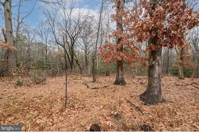 20 Buxton Court, Southampton, NJ 08088 - Photo 30