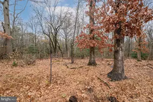 20 Buxton Ct, Southampton, NJ 08088 - Photo 30