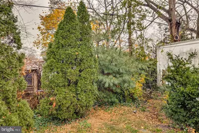 119 Buttonwood Street, Mount Holly, NJ 08060 - Photo 40